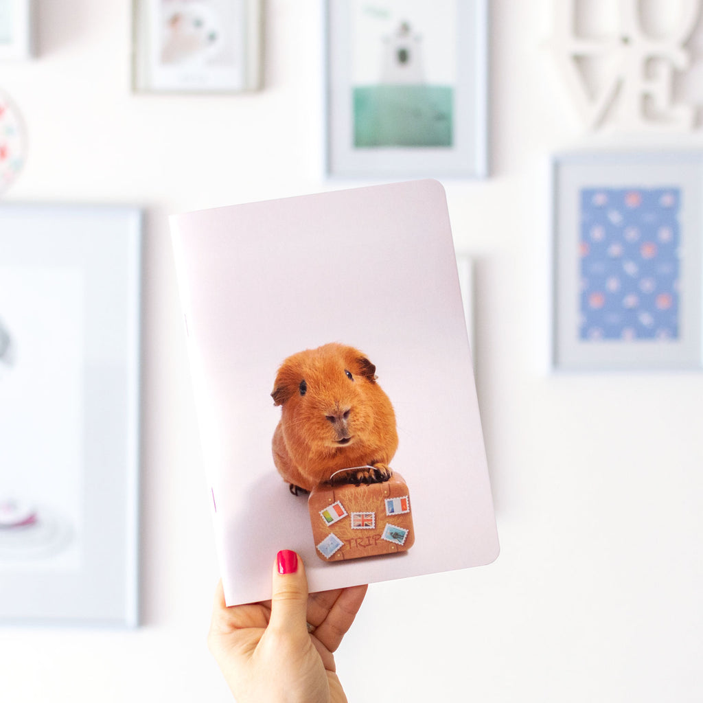 Cobi Notebooks