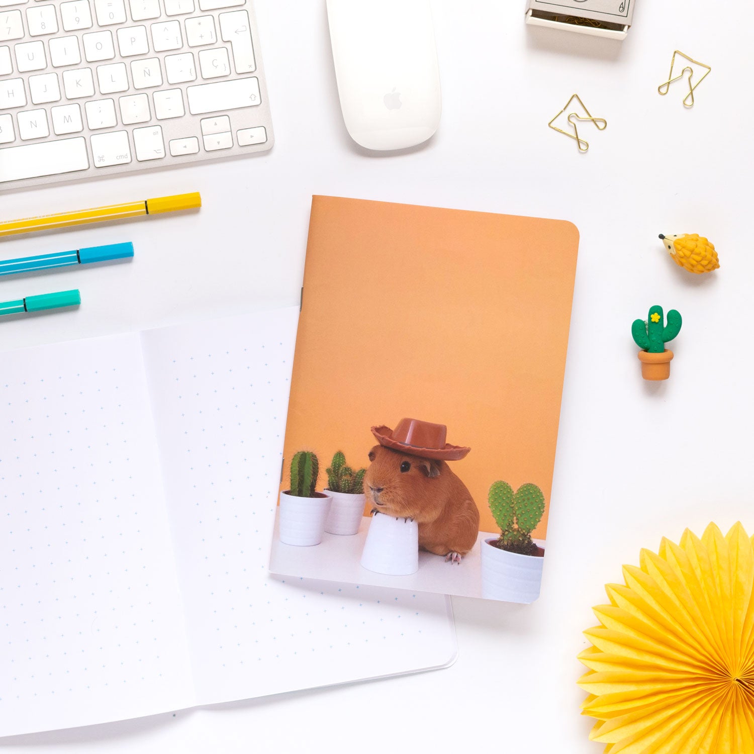 Cobi Notebooks