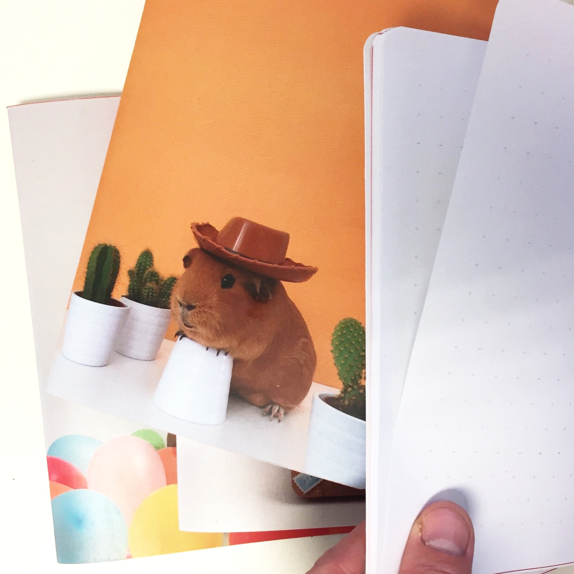 Cobi Notebooks