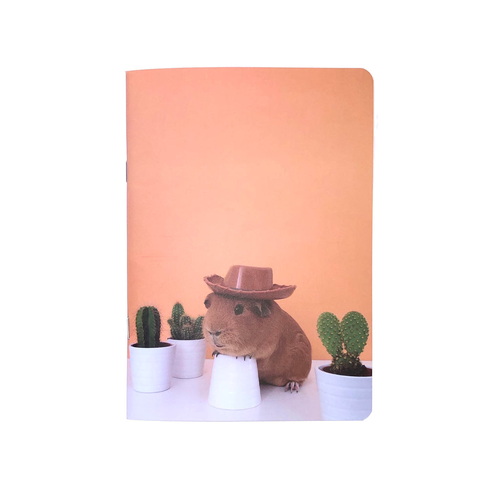 Cobi Notebooks