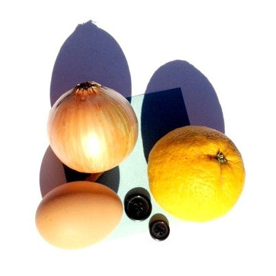 SUNPRINT KIT
